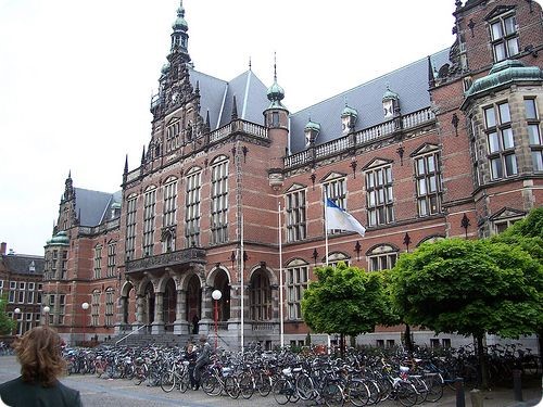 Традиционно в Голландии сложились два типа высших учебных заведений:   1